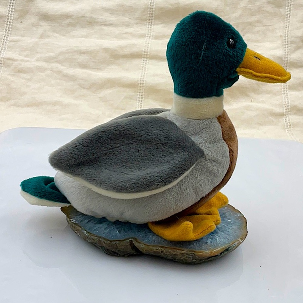 Retired 1997 “Jake” The Drake Duck Beanie Baby. Tush Tag Error:1998 Born 1997 - Picture 4 of 8